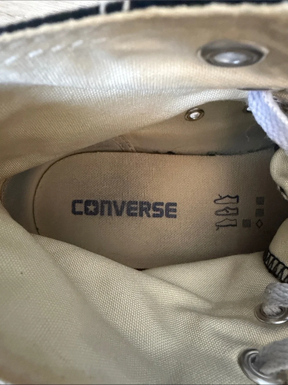 Converse Chuck Taylor All Star High Tops
